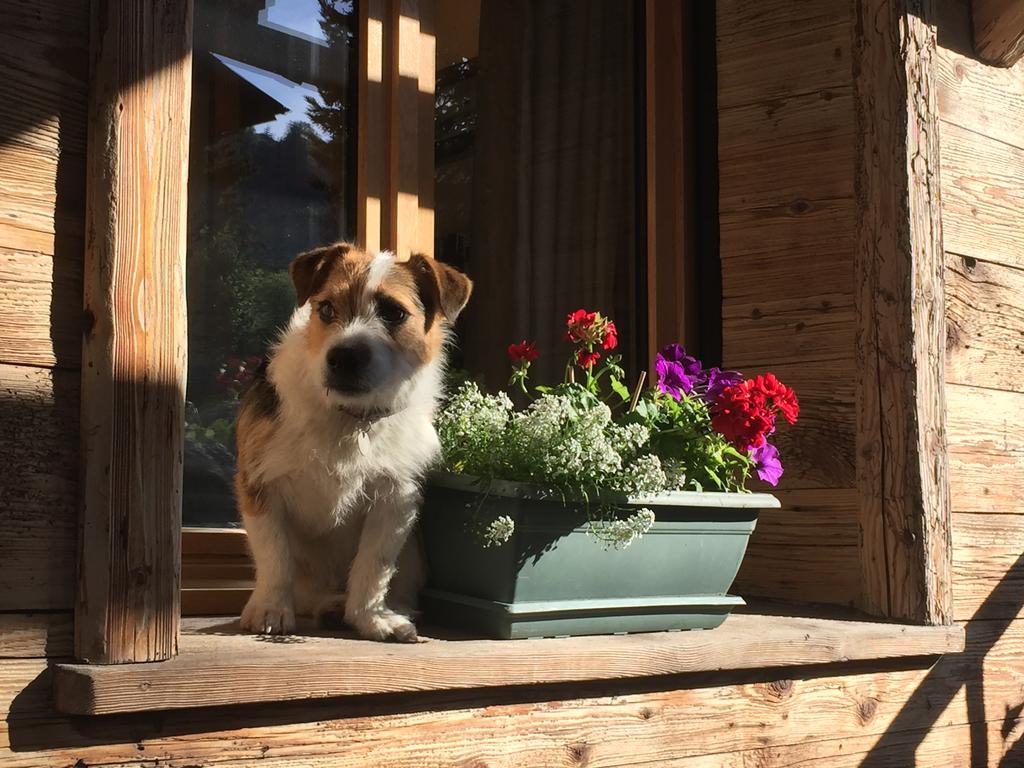 Hotel Les Cimes Megève Eksteriør bilde